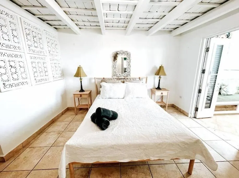 Casa Norzagaray Vintage Colonial Old San Juan Daire 0*,
